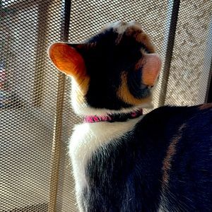 Meet your Posher, Leslie